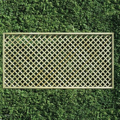 1.2m Trellis