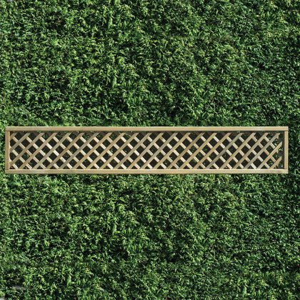 40mm trellis