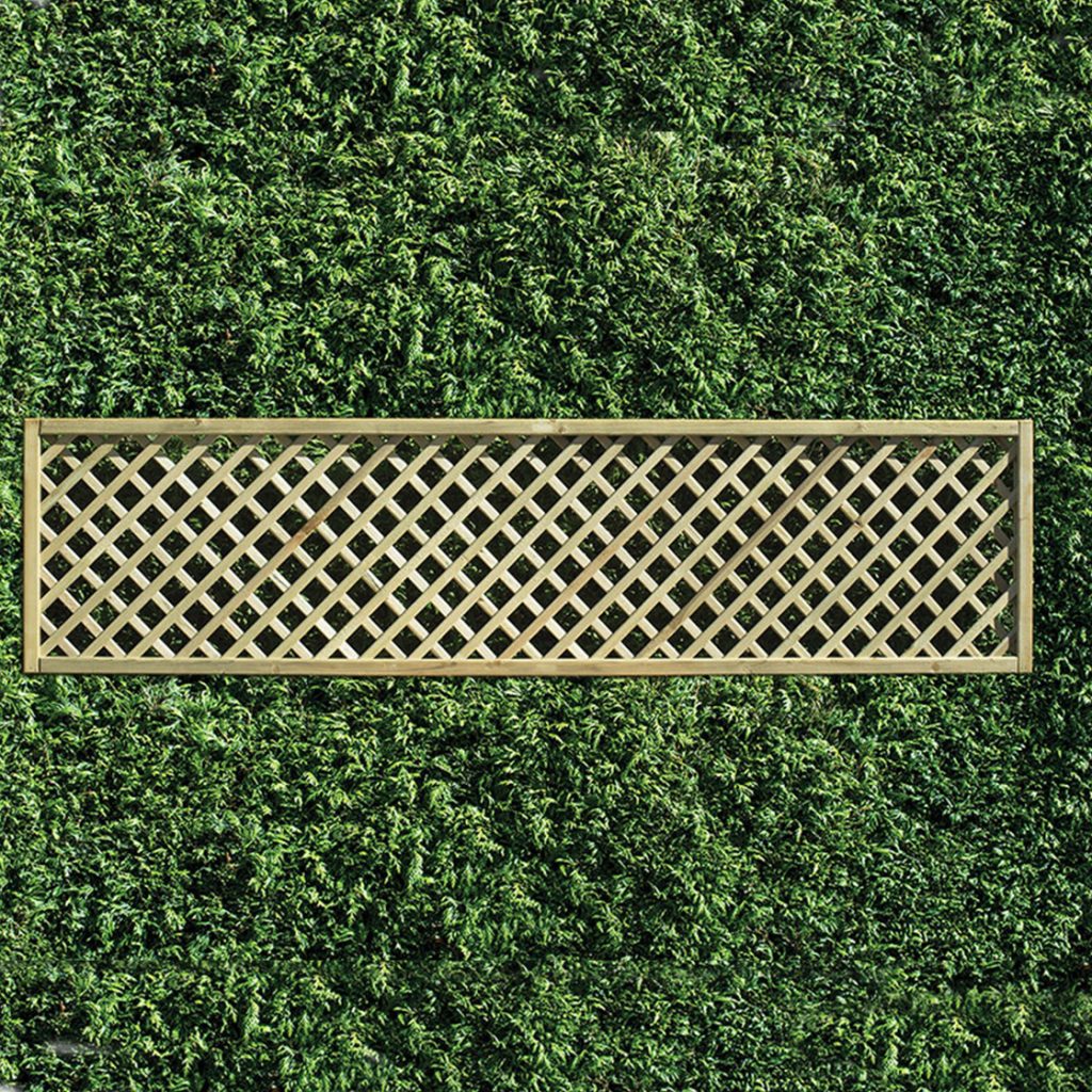 privacy trellis