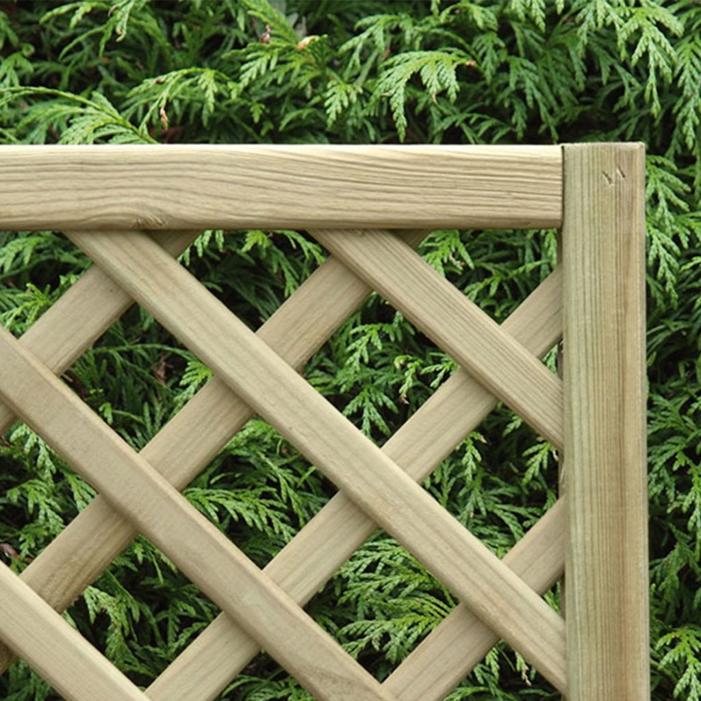 40mm trellis
