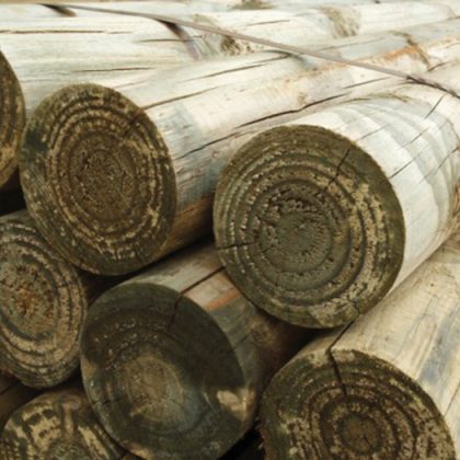 3.6m Pole 150mm Diameter